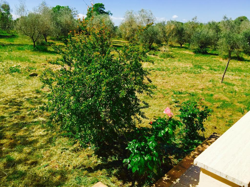 بيتيجليانو Country House Maremma Nel Tufo المظهر الخارجي الصورة
